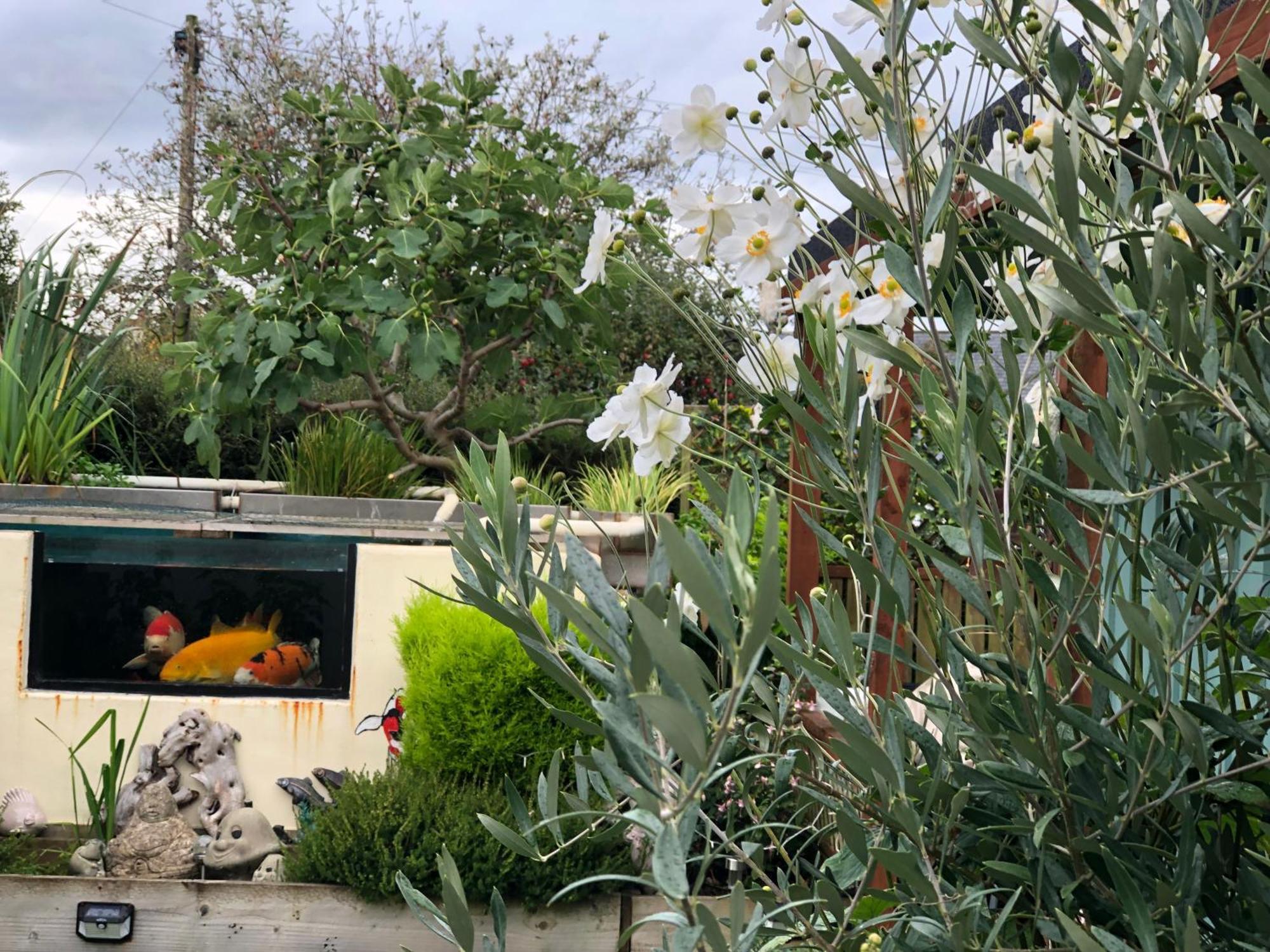 Bed and Breakfast Owly 'Ouse Barnstaple Exterior foto